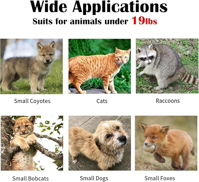 Animal Traps,Live Animal Trap for Cats,Raccoons,Rabbits,cat Trap for Stray Cats,Live Traps for Raccoons,Steel Foldable with Pedal Triggers (37.2 x 13 x 14.37 inches)