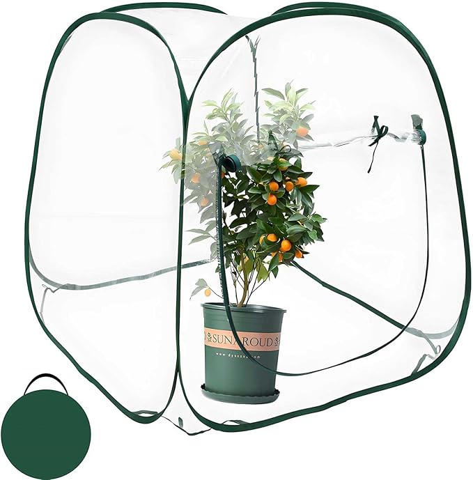 Pop Up Greenhouse Plant Greenhouse Cover, Mini Transparent Freeze Protection PVC Tent with Roll-up Zipper Entry Doors for Indoor and Outdoor Gardens Protecting Plant from Cold Frost (PVC, 39x39x39in)