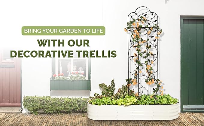 Idzo Decorative Metal Trellis for Climbing Plants Outdoor, Anti-Corrosion Powder Coated Garden Trellis, Sturdy Long Spikes, 60 Inch