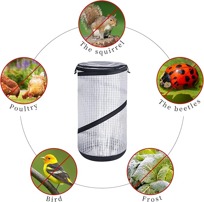 DECOHS 2 PCS Pop up Mini Greenhouse-23.4x11.6 Inch PVC Spring-up Plant Protector with Zipper-Portable Greenhouse Cover for Gardening Plants Cold Frost Protection Wind Rain Proof