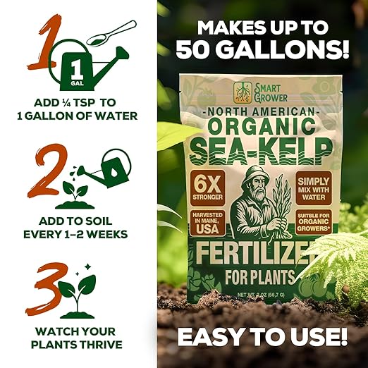 Organic Sea Kelp Fertilizer for Plants – Water-Soluble – Makes 50 Gallons – Kelp Meal Concentrate Plant Food – for Indoor Gardens, Hydroponics, Vegetables, Houseplants - Smart Grower - 2oz Bag