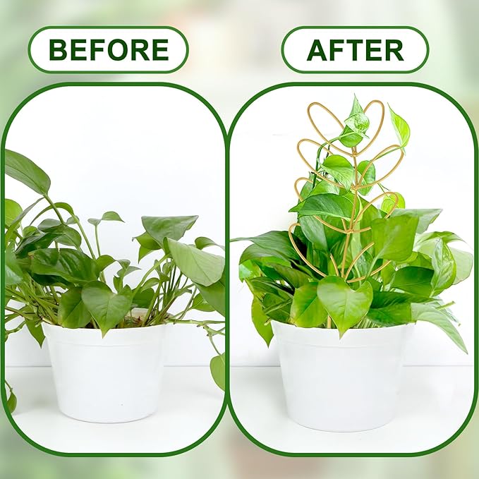 AUGSUN 2 Pcs Gold Trellis Leaf Shape 12 Inch Metal Plant Support with 50 Ties for Climbing Potted Plants Houseplant Garden Indoor Outdoor