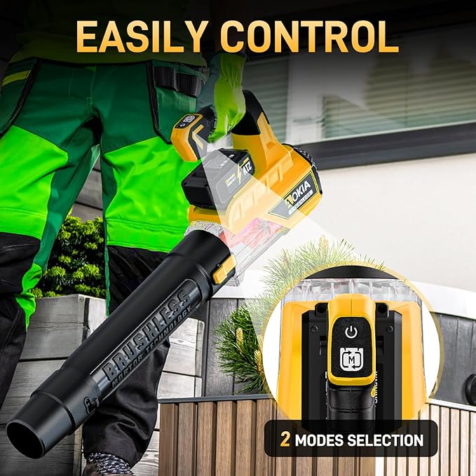 Leaf Blower Cordless, 21V Electric Blower with 2 3.0Ah Battery and Charger - Powered Air Blower 580CFM/160MPH - Lightweight Leaf Blower for Lawn Care, Patio Cleaning, Blowing Leaves and Dust