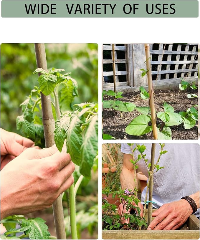 60 Pack 4 Ft Bamboo Stakes for Plant with 100 Twist Ties Bamboo Sticks Plant Support Garden Stakes Poles for Tomatoes Cucumber Grapes Pole Beans Trees Potted Dahlia Flowers