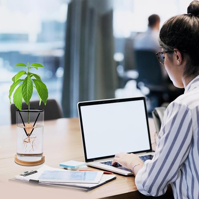 Bylion Avocado Tree Growing Kits, Avocado Growing Vase Wooden Base Avocado Seed Starter Vase Glass Plant Pot Easy Seed Sprout Starter Gift for Women Gardening Lovers Home Office Table Decoration