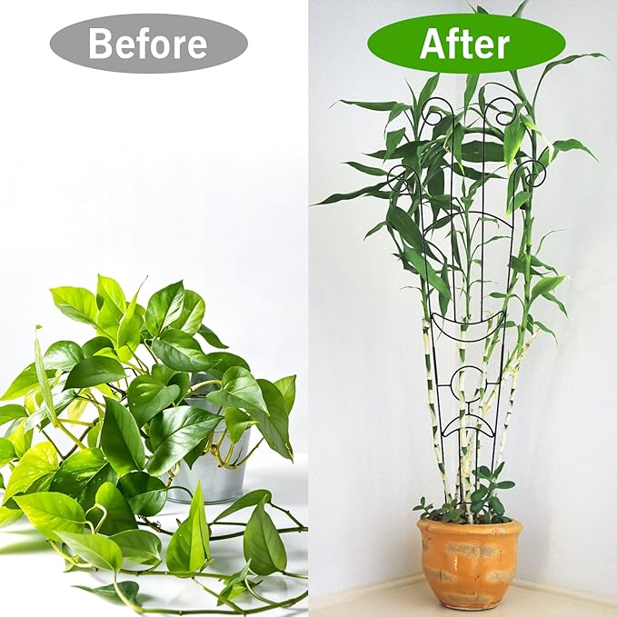 4 Pack Plant Supports, 32 in Taller Plant Trellis for Climbing Plants Indoor, Sturdy Houseplant Trellis for Potted Plants with Ties, Vine Plant Support for Monstera Pothos Ivy, Plant Decor