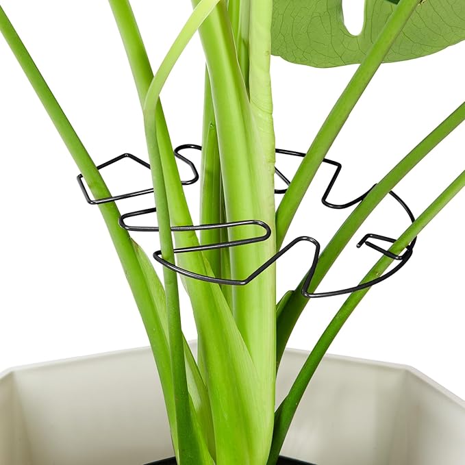 6PCS Iron Monstera Plant Support, Uniquely Designed Indoor Plant Accessories, Stable Plant Support Stakes for Indoor Plant, Turtle Shell Bamboo Clamp Set for Thriving Growth