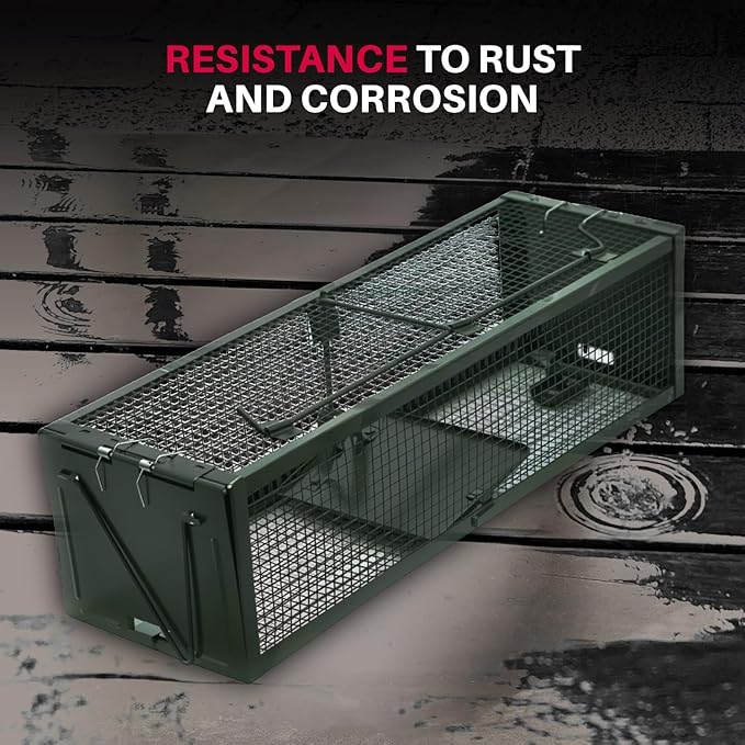 Heavy Duty Catch Release Small Live Humane Animal Cage Trap for Rat Mice Voles Weasels and Other Similar Sized Animals 18x5x5