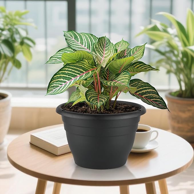 Plant Pots Set of 5, 10" Outside Diameter Flower Pots, 8.5" Inner Diameter Planters with Drainage Hole, Durable Perfect for Indoor & Outdoor Plant Planting, Decor, Black