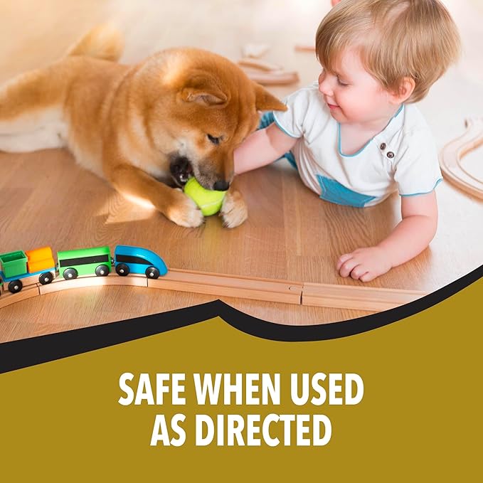 Bengal Gold Roach Spray - Odorless, Stain-Free Bug Spray for Home - Prevents Reinfestation for Up to 6 Months - 11 oz, 3 Pack