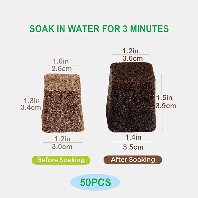 50 Pack of Hydroponic Growth Sponges - Square Seed Start Cube for Indoor Gardening System, Nurting Trays - for Vegetables, Herbs, Succulents, Green Leaf and Floral Arrangements