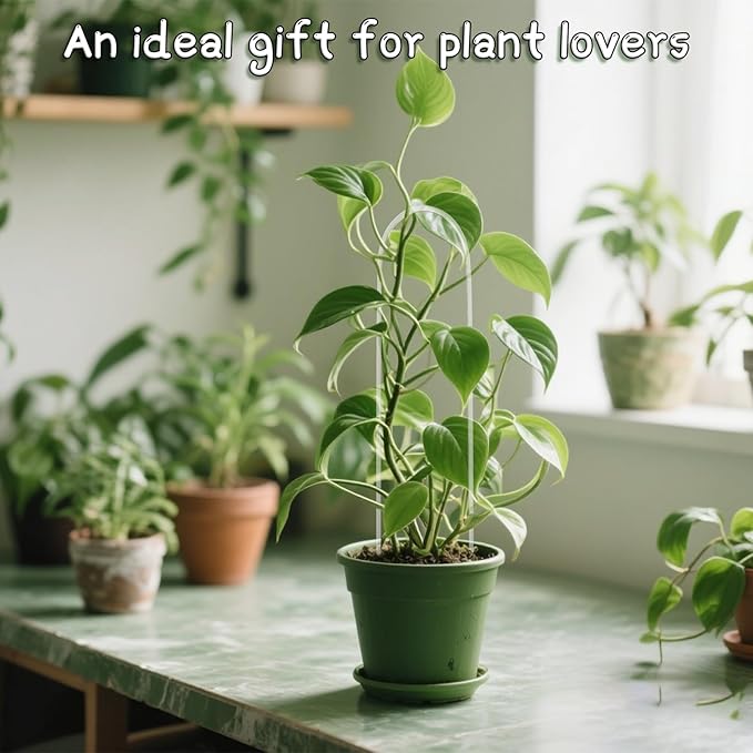 2PCS Clear U-Shaped Clear Acrylic Trellis, Plant Support Hoya Trellis for Climbing Plants Indoor, U-Shaped Acrylic Planting Trelliings for Potted Plants,Climbing Plantings,Plant Supports