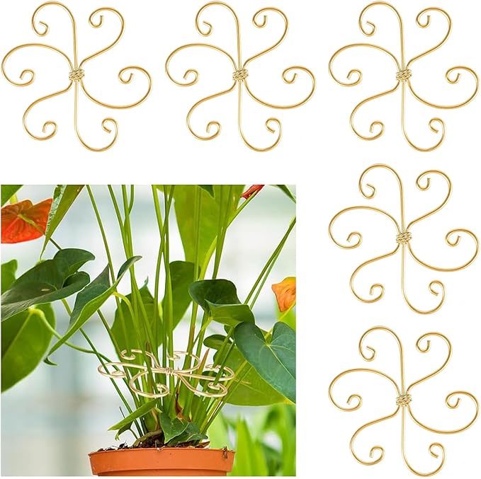 5 Pcs Plant Stem Support, Iron Monstera Plant Support, Durable Hook Stem Supports for Healthy Growth, Bamboo Clamp Set for Leaf Stabilization and Support, Ideal Present for Plant Lovers (5.5IN*5.5IN)