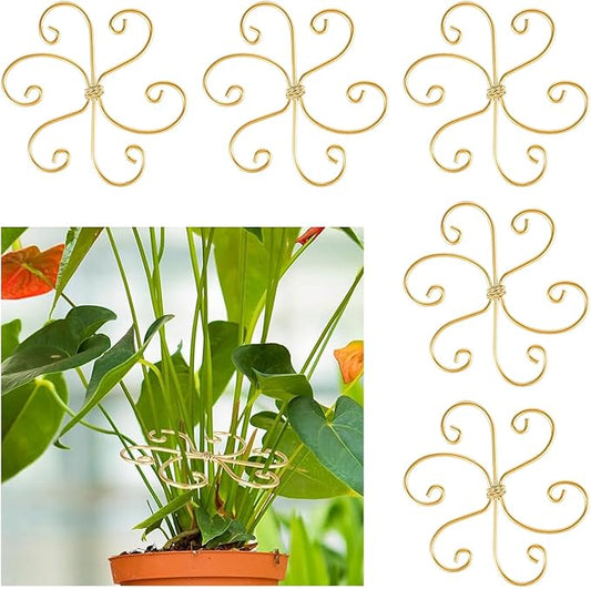 5 Pcs Plant Stem Support, Iron Monstera Plant Support, Durable Hook Stem Supports for Healthy Growth, Bamboo Clamp Set for Leaf Stabilization and Support, Ideal Present for Plant Lovers