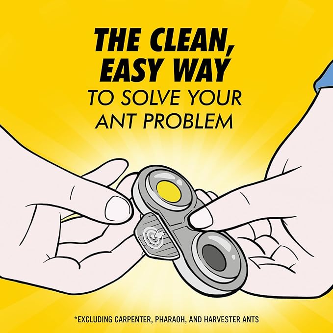 Combat Max 2 in 1 Ant Bait Station, 4 Count (Pack of 3)