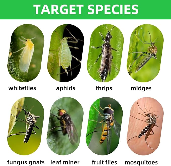 36 Pcs Classic Sticky Traps for Fungus Gnat (Plants), Fruit Fly, Whitefly, and Fly, Yellow Sticky Insect Catcher Traps for Indoor/Outdoor, Kitchen, and Plants, High-End Glue, Non-Toxic, 4 Shapes