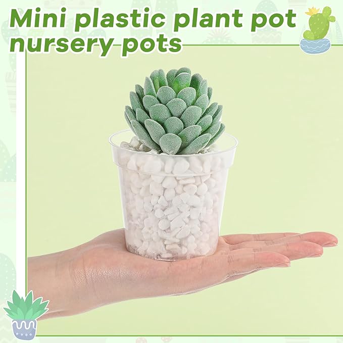 Yaomiao 80 Pcs 3 Inch Clear Mini Plastic Plant Pot Nursery Seedling Pots Seed Starter with Drainage Holes for Indoor Outdoor Garden Succulent Plants Cuttings Transplanting