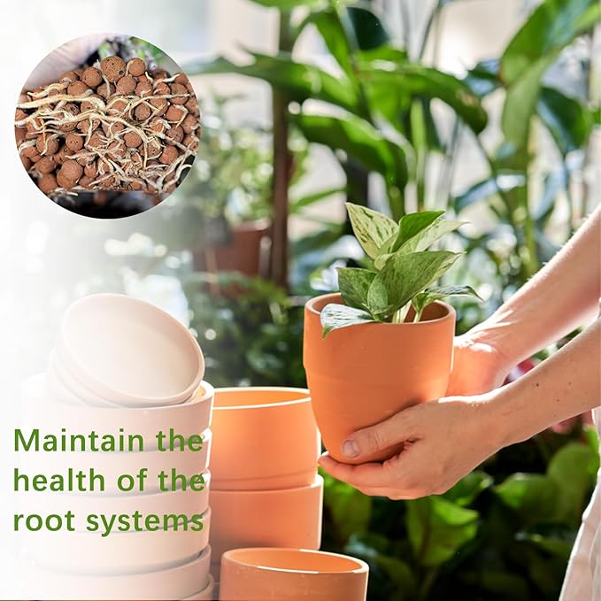 3LB Leca Explanded Clay Pebbles, 14-16mm Lightweight Expanded Clay Aggregate for Hydroponic Growing, Premium Grow Media for Orchids, Aquaponics Plants and Horticultural Drainage, Natural
