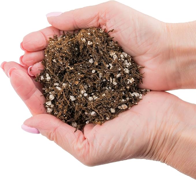Premium Organic Potting Soil, Succulent & Cactus Soil Mix, Fast Draining Pre-Mixed Blend - Horticultural Perlite (25%) + Peat Moss (75%) - Made in USA - 5 Quart