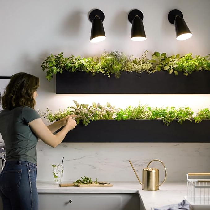 Briignite LED Grow Light Bulb, BR30 Grow Light Bulbs, Full Spectrum Grow Light Bulb 12W, 120W Equivalent, Plant Light Bulbs E26 Base, Grow Light for Indoor Plants, Seedlings, Greenhouse, 1 Pack