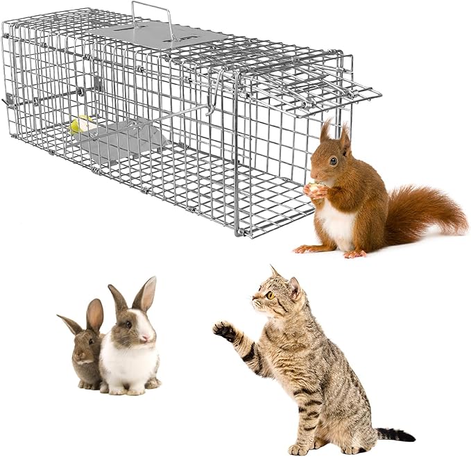 Humane Animal Trap, Foldable Medium Live Cage Traps for Cats Rabbits Racoons Beavers Groundhogs Foxes Armadillos and Other Live Animals, Easy to Catch and Release, Work for Indoor Outdoor