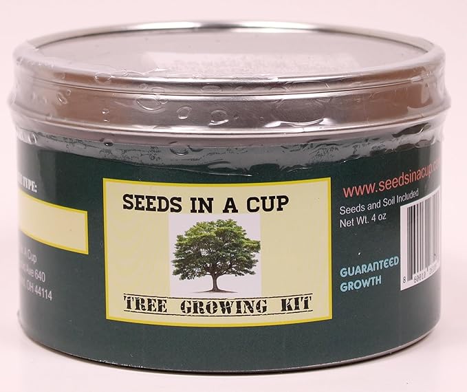 Wisteria- Plant Grow Kit | Wisteria Plant Grow Kit | Indoor/Outdoor Wisteria Starter Kit | Grow Your Own Wisteria | Educational | Great Gift Idea (Tin Planter)