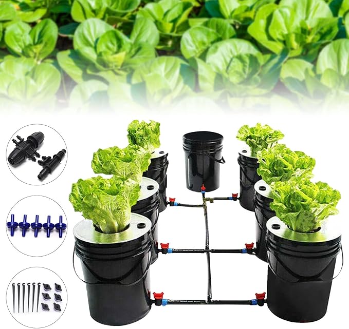 DWC Hydroponics Grow System, 6 Hydroponics Grow Bucket 20L DWC Recirculating Deep Water Culture 6 Air Stones for Indoor/Outdoor Leafy Vegetables