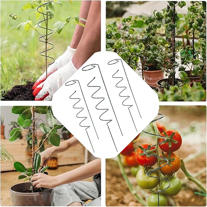 15.75″ Spiral Tomato Plant Stake, Small Spiral Plant Support, Garden Twist Stick for Climbing Plants, Indoor/Outdoor Plant and Rose