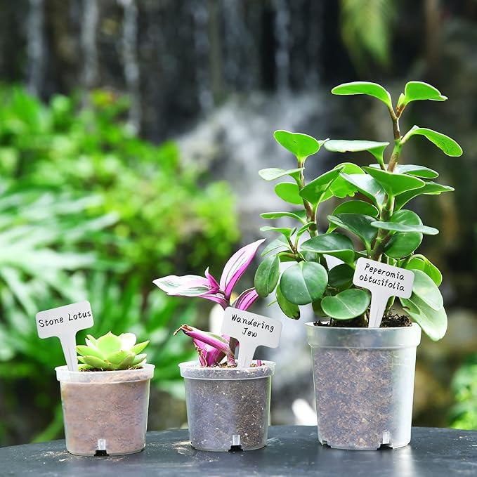 4 Inch Clear Nursery Pots for Plants, Transparent Plastic Plant Pots with Drain Holes, Seed Starter Clear Pots with 20 Plant Labels for Flowers Vegetable Seedlings 30 Pcs