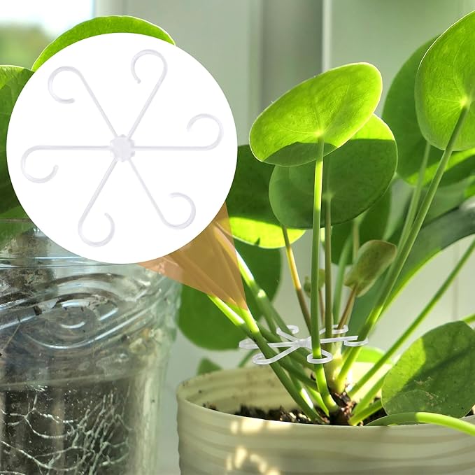 8PCS Plant Stem Support, 4 Sizes Climbing Houseplant Stem Holders, Plastic Reusable Flower Trellis Stem Hook Plant Care Growth Accessories for Flower Plants Indoor Outdoor - Black, Clear