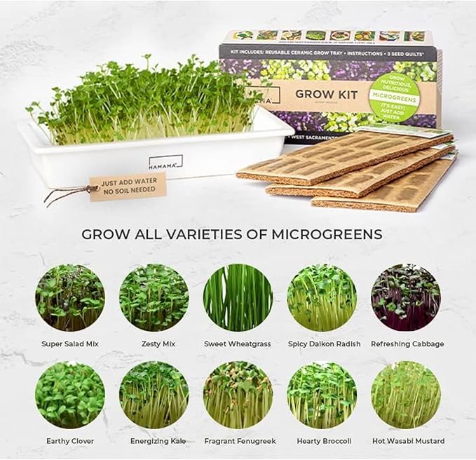 HAMAMA Microgreens Growing Kit Broccoli & Salad - Indoor Sprouts Mat - Seed Quilts Easy Setup Pack of 2 - Plastic Tray and Bamboo Frame