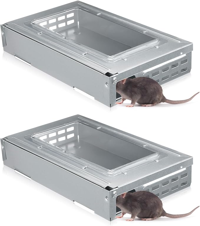 Qualirey 2 Pack Multi Catch Mice Trap Clear Top Humanized Mouse Trap Rodent for Indoor Outdoor Rat Control Pet and Security (Silver Color)