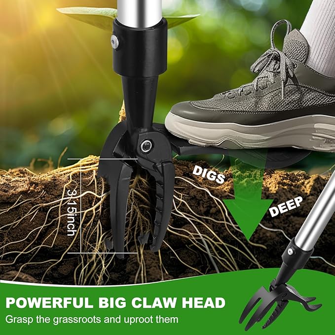 Weed Puller Tool, Lightweight, 4-Claw Stand Up Weeder Tool with Adjustable Handle for Remove Weeds Without Bending or Kneeling, Easily Remove Dandelions, Thistles, Plantain, Crabgrass.