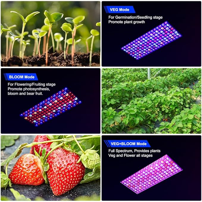 2024 Upgraded BW2000 LED Grow Lights Double Chips Full Spectrum with 10ft Cable for Greenhouse and Indoor Plant Veg and Flower Growing [Black]