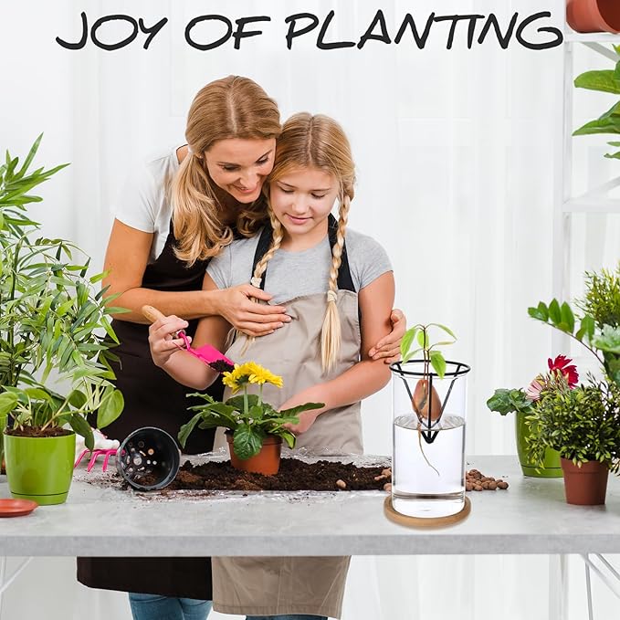 Avocados Vase Avocado Seed Starter Vase, Avocado Trees Live Plants Growing Kit Aguacate Seed Sprouting Kit with Metal Triangle Bracket and Bamboo Base, Glass Sprout Growing Kit for Avocados
