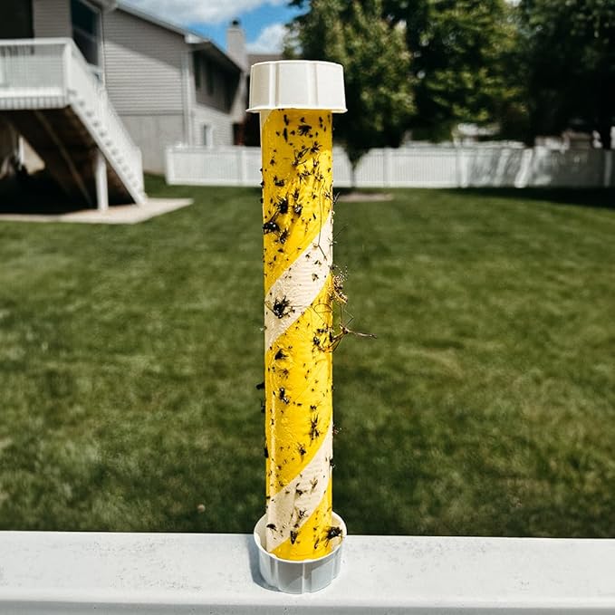 Glow-in-The-Dark Fly Stick by Trappify: Premium Indoor & Outdoor Fly Traps | Water-Resistant Sticky Trap for Fruit Fly Traps for Indoors, Gnat Traps for House Indoor, and Fly Trap Indoor (8 Pack)