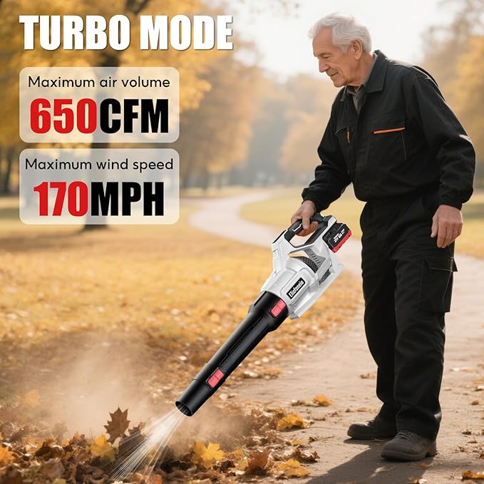 Leaf Blower,Powerful Electric Leaf Blower Cordless,650CFM/170MPH,4 Speed Modes,with 2 * 5.0Ah 21V Batteries and Charger,2*Replacement Nozzle for Lawn Care, Blowing Leaves, Dust, Snow, Gravel Patio