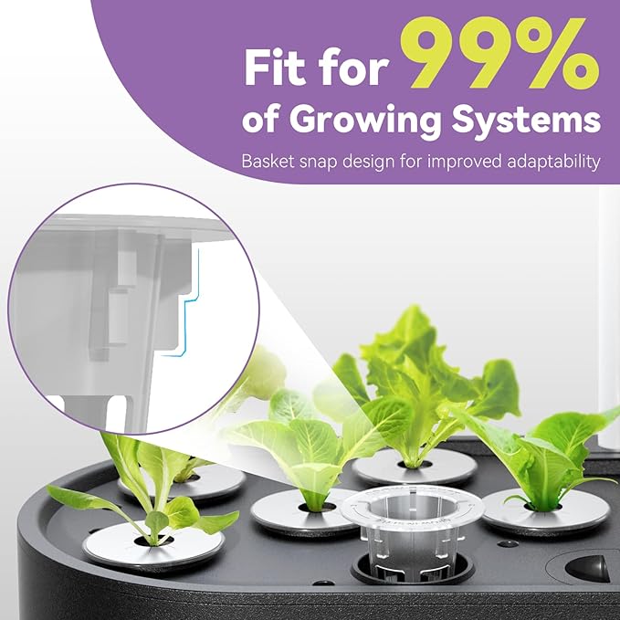 Red Romaine Lettuce Seed Pods for AeroGarden, Ahopegarden, iDOO Hydroponics Growing System Indoor, 400+ Seeds(12-Pods)