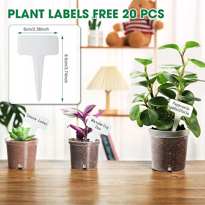 3.5 Inch Clear Nursery Pots, Transparent Plastic Plant Pots with Drain Holes, Seed Germination Starting Planter Container with 20 Plant Labels for Flowers Vegetable Seedlings 60 Pcs