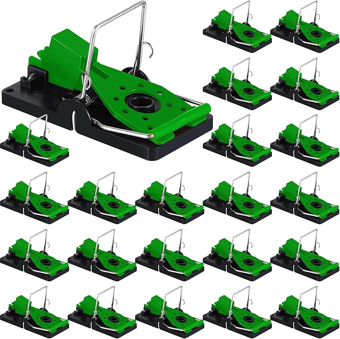 Qualirey 24 Pcs Plastic Mouse Rat Traps House Indoor Quick Effective Safe for Warehouse Garden Kitchen 3.86 x 1.81 x 2.17 Inch (Black,Green)