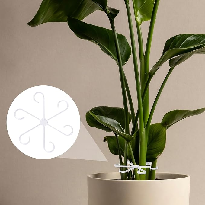 8PCS Plant Stem Support, 4 Sizes Climbing Houseplant Stem Holders, Plastic Reusable Flower Trellis Stem Hook Plant Care Growth Accessories for Flower Plants Indoor Outdoor - Clear