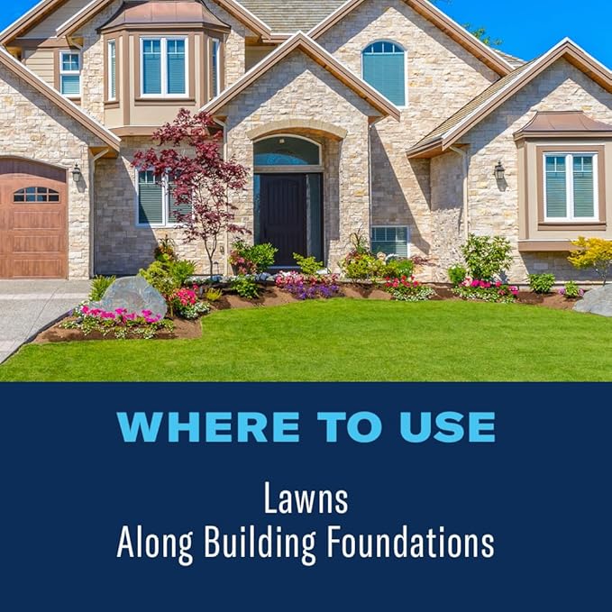 BioAdvanced Complete Brand Insect Killer for Soil and Turf, Concentrate, 40 oz, Outdoor Ant Killer