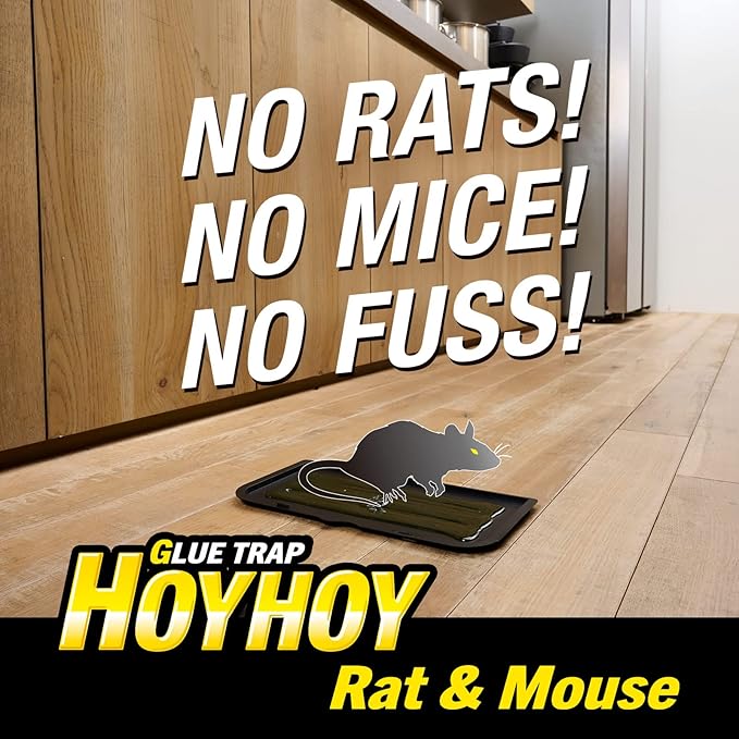 HOY HOY Regular Size Rat & Mouse Indoor/Outdoor Glue Trap (1 Pack)