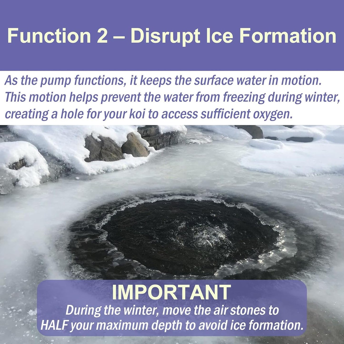 AquaMiracle Koi Pond Aerator for Pond up to 1000 & 2000 Gallons, All-in-One Pond Air Pump Aeration Kit with Air Stones Airline Tubing Check Valves