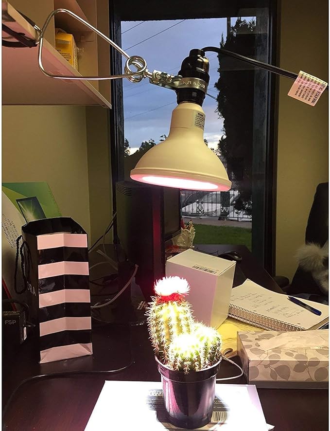 Simple Deluxe HIWKLTCLAMPSOCKETX2 2-Pack 18/2-Gauge Brooder and Heat Clamp Lamp with Bakelite Socket 150 Watt 6 Feet Cord, 2 Count (Pack of 1), Black