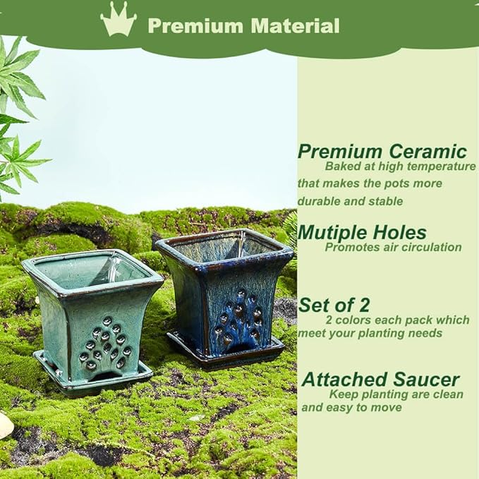 Ceramic Orchid Pots with Holes attached Saucers 4.8 Inches - Set of 2 Small Square Orchid Pots for Repotting, Decorative Ceramic Orchid Planter with Hole for Healthy Root Growth Blue and Green