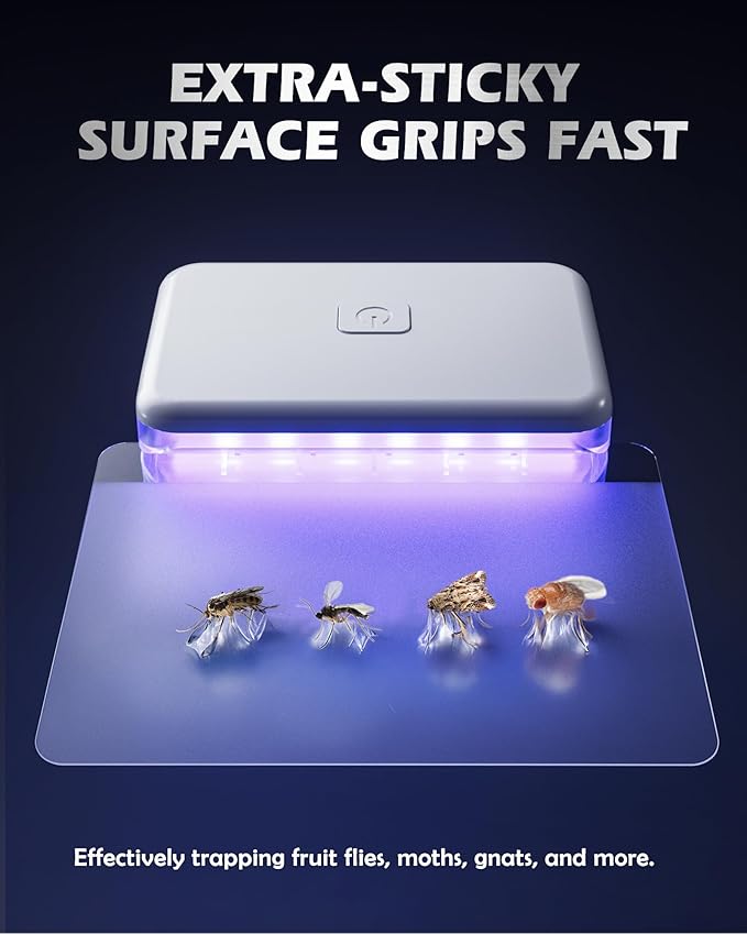 Fruit Fly Traps for Indoors (1 Device+10 Refills) Plug in Fly Trap for Gnats, Fruit Flies, Flying Insects Sleek Design Indoor Safe
