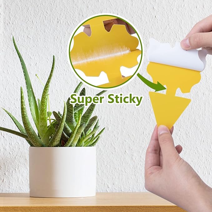 40 Pack Fungus Gnat Traps for House Indoor, Fungus Traps Fruit Fly Traps for Indoors Gnats Sticky Traps for Plants Yellow Sticky Traps for Gnats
