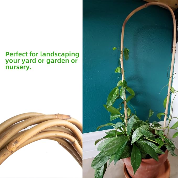 Avalution 16" Natural Bamboo Plants Trellis U-Hoop,Bamboo Gaeden Trellis U-Shape for Climbing Plant Support-20PCS