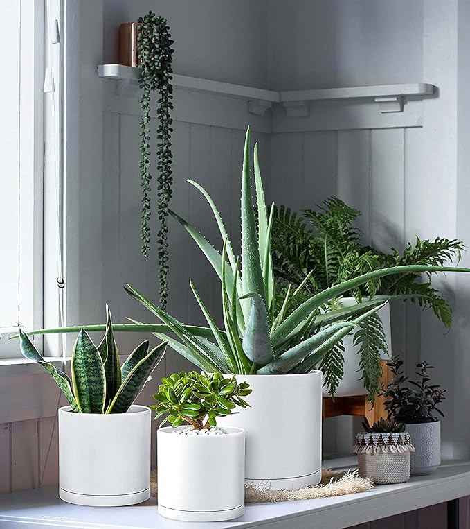 D'vine Dev 6 Inch 6.5 Inch 8 Inch, Set of 3 Plastic Planter Pots for Plants with Drainage Hole and Seamless Saucers, White Color, Medium, 74-V-A-3